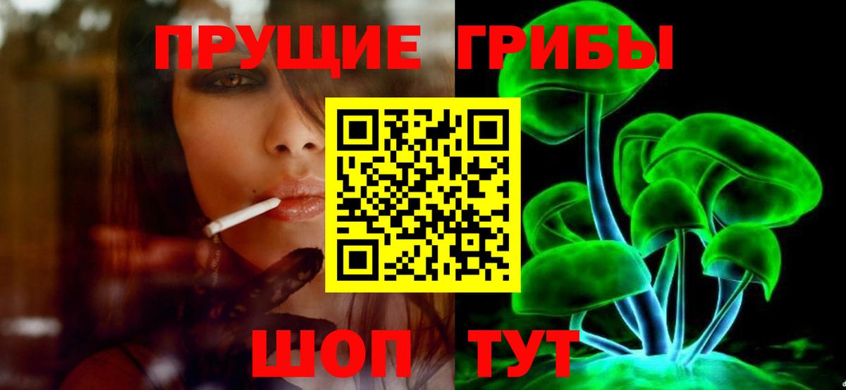 Галлюциногенные грибы Cubensis Губаха