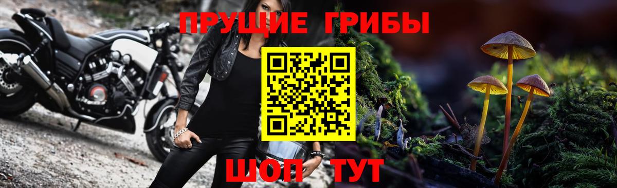 Галлюциногенные грибы GOLDEN TEACHER  сколько стоит  Галлюциногенные грибы ЛСД  Губаха  Вход с VPN 